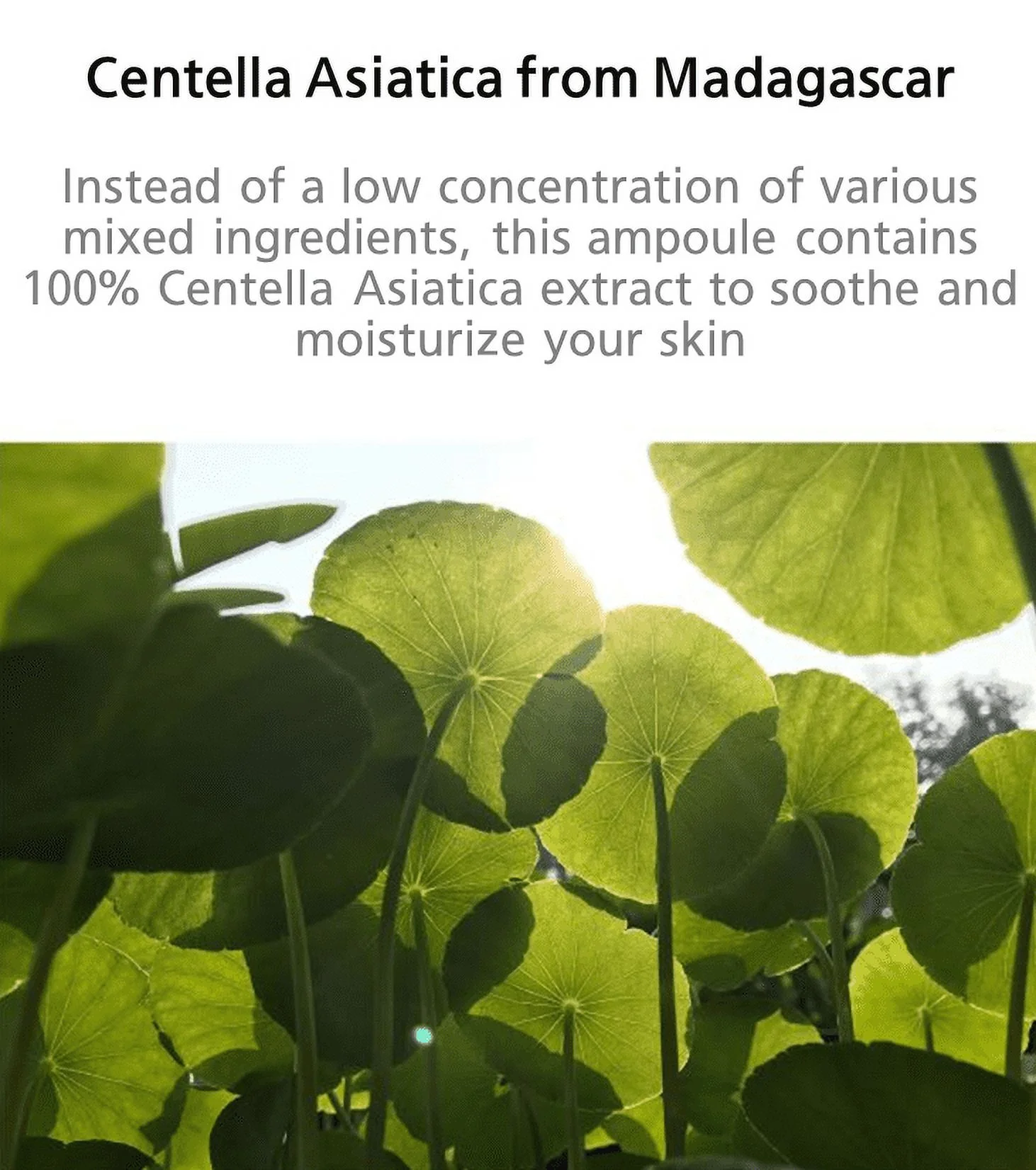 SKIN1004 Madagascar Centella Ampoule – Calming & Hydrating Serum for Sensitive Skin, 100ml / 3.38oz